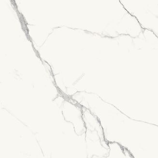 TILLITA STATUARIO WHITE POLISHED RECT 60X60 - 4