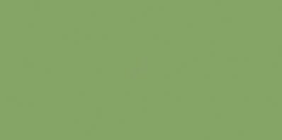 COLOR ONE WAAMB456 RAL1306050 20x40 POŁYSK