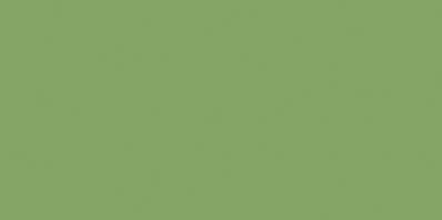 COLOR ONE WAAMB456 RAL1306050 20x40 POŁYSK