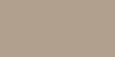 COLOR ONE WAAMB301 RAL0607020 20x40 połysk G.1