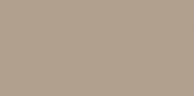 COLOR ONE WAAMB301 RAL0607020 20x40 połysk G.1