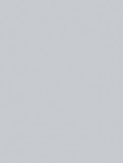 CONCEPT WAAKB110 szara 25x33 gatunek 1