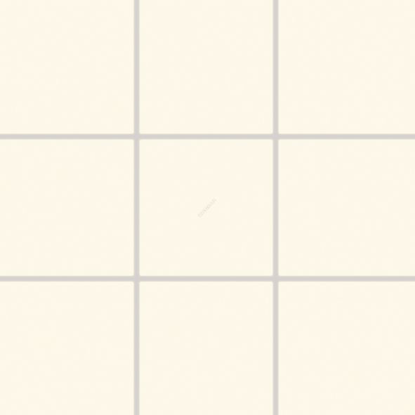 COLOR TWO GAA0K107 RAL0709010 10x10 MATOWA