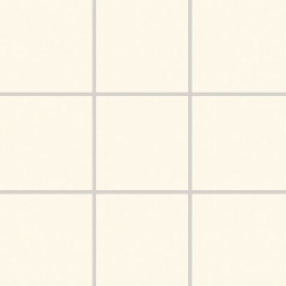 COLOR TWO GAA0K107 RAL0709010 10x10 MATOWA