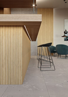 CASTONE DAK62855 GRES REKTYFIKOWANY 60x60 - 2