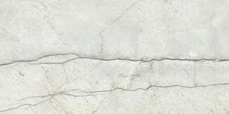 PIOVE LIGHT GREY POLISHED RECT 60X120 - 4