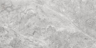 MORONI GREY POLISHED RECT 60X120 - 4