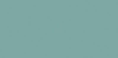 COLOR ONE WAAMB467 RAL1907025 20x40 MATOWA