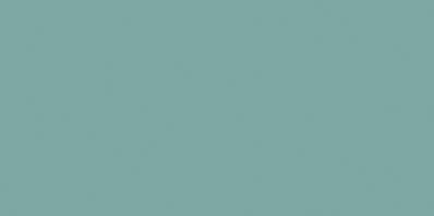 COLOR ONE WAAMB467 RAL1907025 20x40 MATOWA