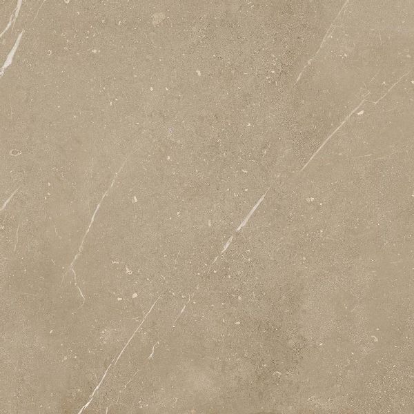 FLY DAK62886 GRES REKTYFIKOWANY 60x60