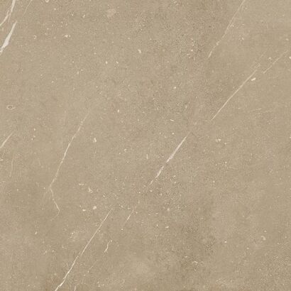 FLY DAK62886 GRES REKTYFIKOWANY 60x60