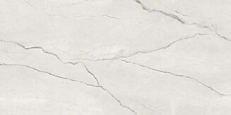 VILEO WHITE MATT CARVING RECT 60X120 G1 - 3
