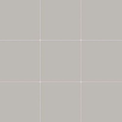 COLOR TWO GAA0K110 RAL0607005 10x10 MATOWA