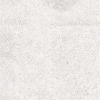 SASIRIO LIGHT GREY POLISHED RECT 60X60 - 2