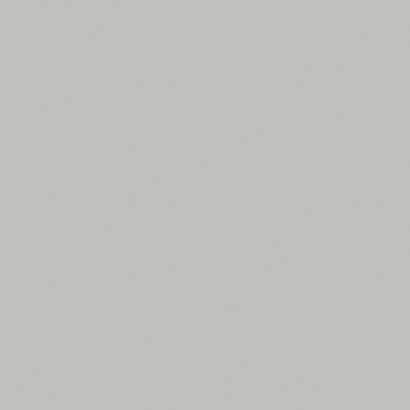 TAURUS COLOR TAK62003 LIGHT GREY 60x60