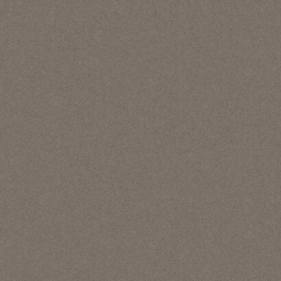 MONOLIGHT BROWN RECT. 59,7x59,7x0,95