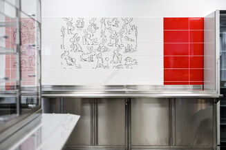 COLOR ONE WAAMB373 RAL0304060 20x40 MATOWA - 3