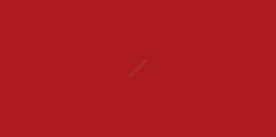 COLOR ONE WAAMB373 RAL0304060 20x40 MATOWA