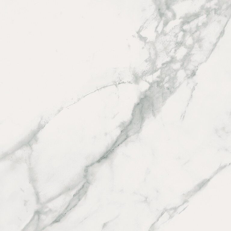 CALACATTA MARBLE WHITE MAT 59,8x59,8